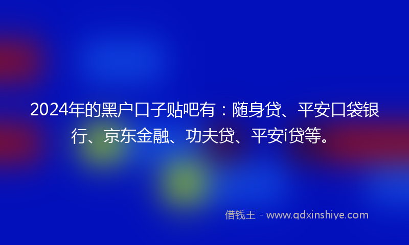 2024年的黑户口子贴吧有：随身贷、平安口袋银行、京东金融、功夫贷、平安i贷等。