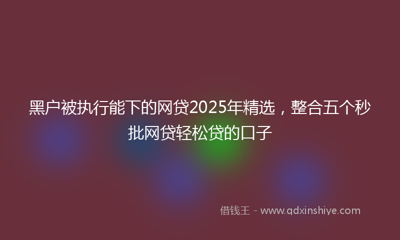 黑户被执行能下的网贷2025年精选，整合五个秒批网贷轻松贷的口子