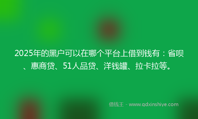 2025年的黑户可以在哪个平台上借到钱有：省呗、惠商贷、51人品贷、洋钱罐、拉卡拉等。