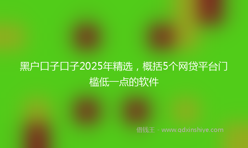 黑户口子口子2025年精选，概括5个网贷平台门槛低一点的软件