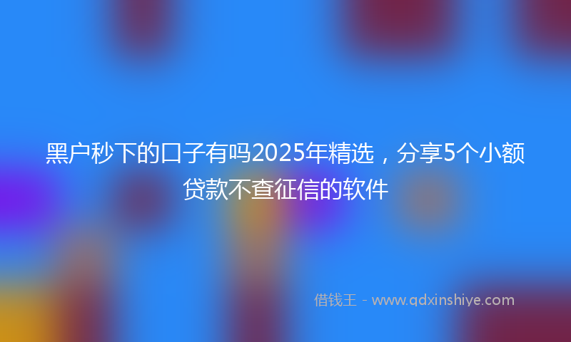 黑户秒下的口子有吗2025年精选，分享5个小额贷款不查征信的软件