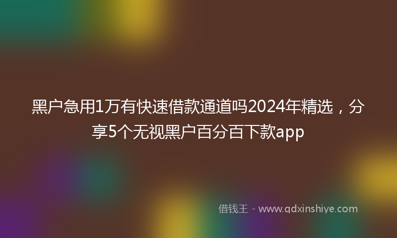 黑户急用1万有快速借款通道吗2024年精选，分享5个无视黑户百分百下款app