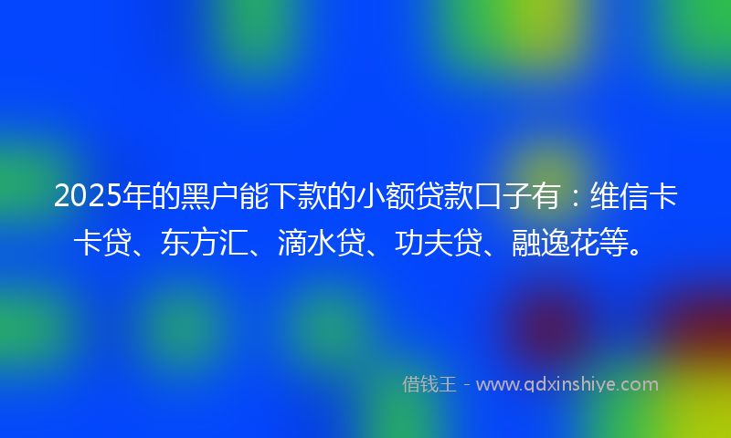 2025年的黑户能下款的小额贷款口子有：维信卡卡贷、东方汇、滴水贷、功夫贷、融逸花等。