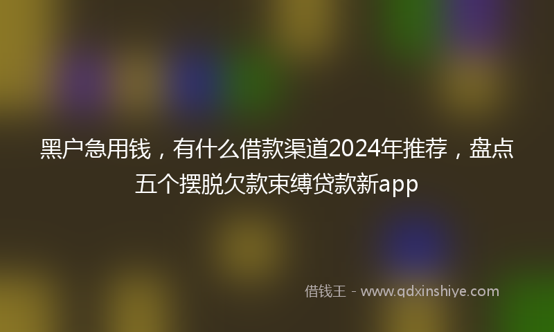 黑户急用钱，有什么借款渠道2024年推荐，盘点五个摆脱欠款束缚贷款新app
