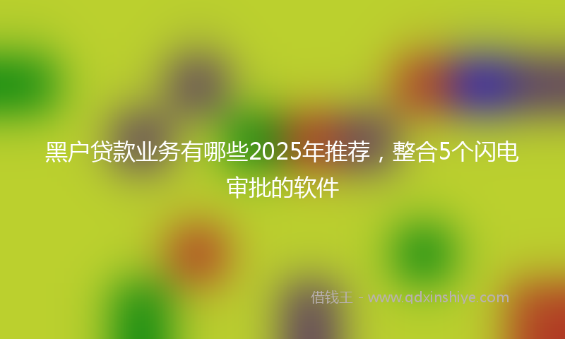 黑户贷款业务有哪些2025年推荐，整合5个闪电审批的软件