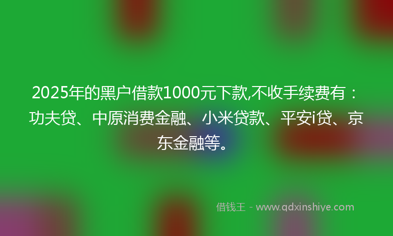 2025年的黑户借款1000元下款,不收手续费有：功夫贷、中原消费金融、小米贷款、平安i贷、京东金融等。