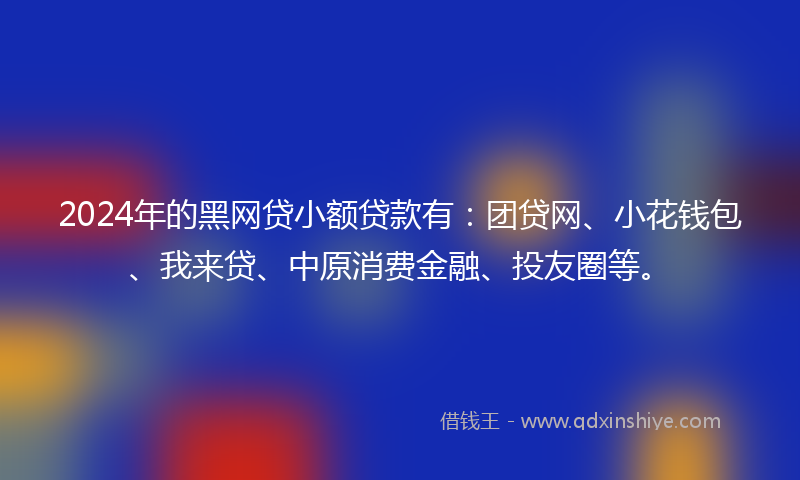 2024年的黑网贷小额贷款有：团贷网、小花钱包、我来贷、中原消费金融、投友圈等。