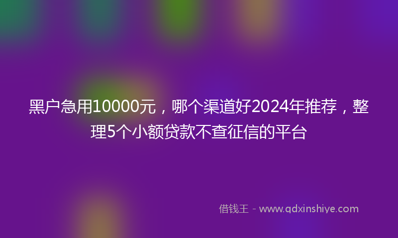 黑户急用10000元，哪个渠道好2024年推荐，整理5个小额贷款不查征信的平台