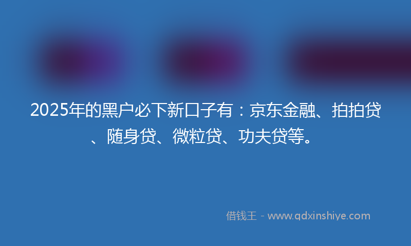 2025年的黑户必下新口子有：京东金融、拍拍贷、随身贷、微粒贷、功夫贷等。