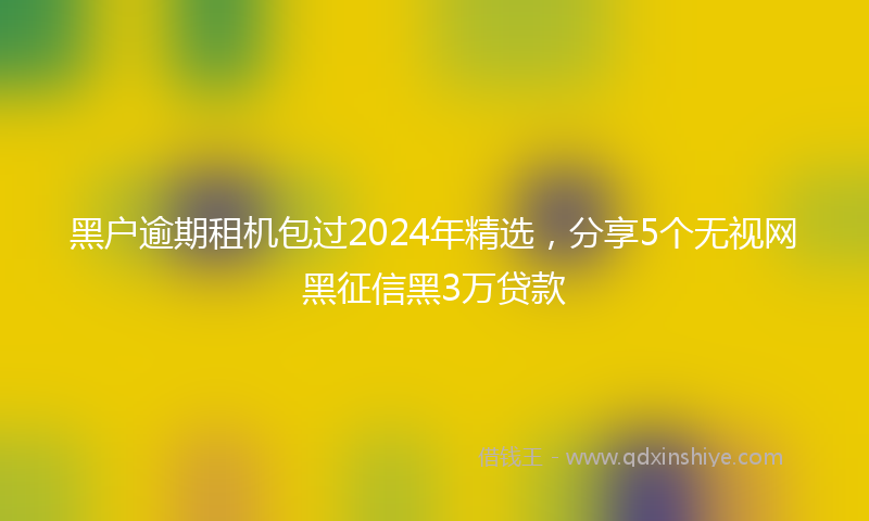 黑户逾期租机包过2024年精选，分享5个无视网黑征信黑3万贷款