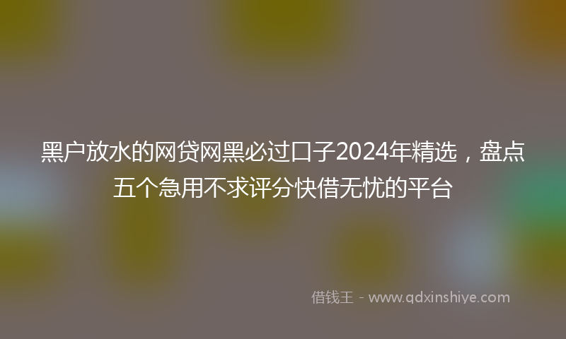 黑户放水的网贷网黑必过口子2024年精选，盘点五个急用不求评分快借无忧的平台
