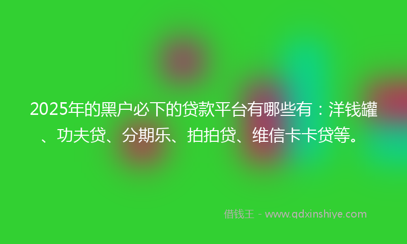 2025年的黑户必下的贷款平台有哪些有：洋钱罐、功夫贷、分期乐、拍拍贷、维信卡卡贷等。