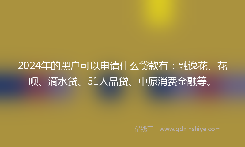2024年的黑户可以申请什么贷款有：融逸花、花呗、滴水贷、51人品贷、中原消费金融等。