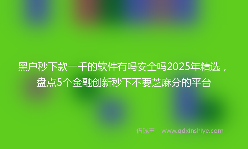 黑户秒下款一千的软件有吗安全吗2025年精选，盘点5个金融创新秒下不要芝麻分的平台