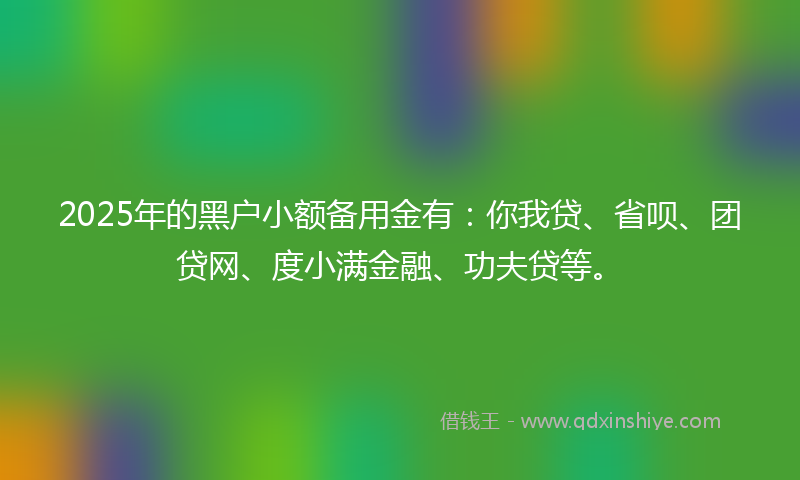 2025年的黑户小额备用金有：你我贷、省呗、团贷网、度小满金融、功夫贷等。