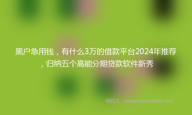黑户急用钱，有什么3万的借款平台2024年推荐，归纳五个高能分期贷款软件新秀
