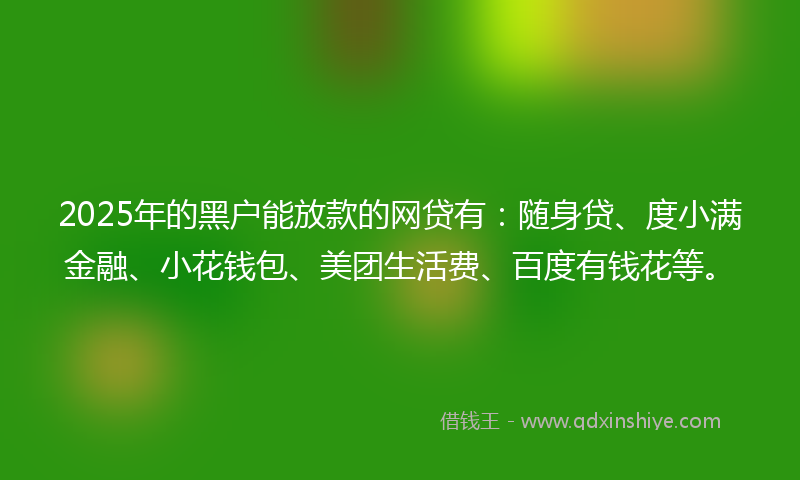 2025年的黑户能放款的网贷有：随身贷、度小满金融、小花钱包、美团生活费、百度有钱花等。