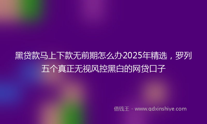 黑贷款马上下款无前期怎么办2025年精选，罗列五个真正无视风控黑白的网贷口子