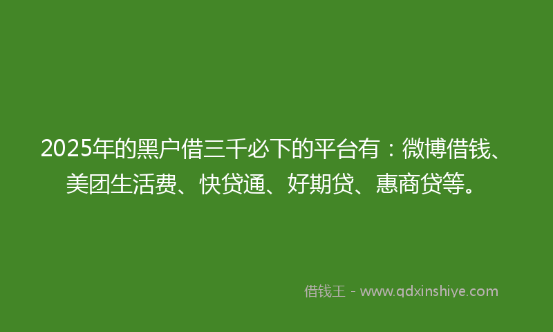 2025年的黑户借三千必下的平台有：微博借钱、美团生活费、快贷通、好期贷、惠商贷等。