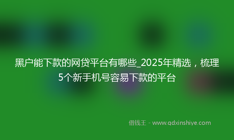 黑户能下款的网贷平台有哪些_2025年精选，梳理5个新手机号容易下款的平台