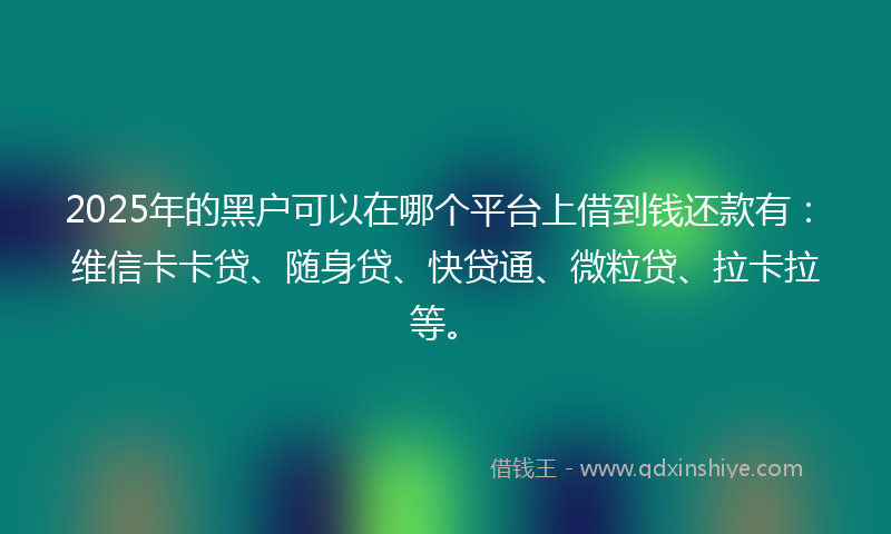 2025年的黑户可以在哪个平台上借到钱还款有：维信卡卡贷、随身贷、快贷通、微粒贷、拉卡拉等。