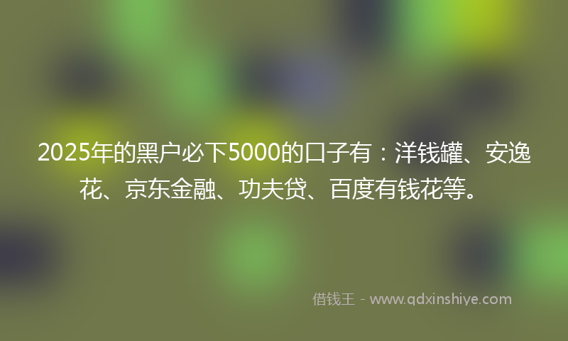2025年的黑户必下5000的口子有：洋钱罐、安逸花、京东金融、功夫贷、百度有钱花等。