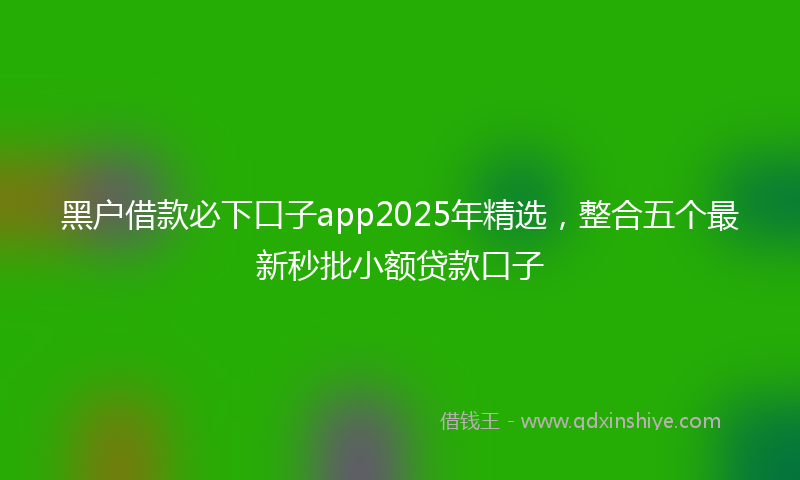 黑户借款必下口子app2025年精选，整合五个最新秒批小额贷款口子
