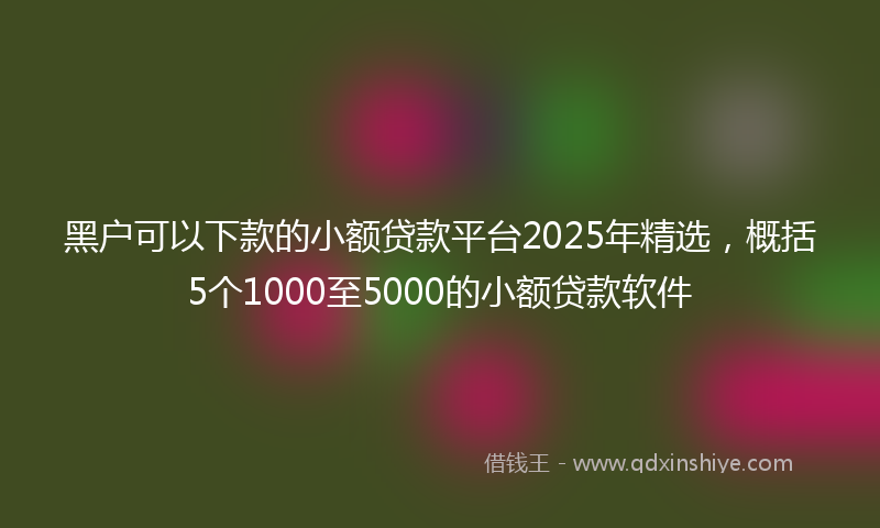 黑户可以下款的小额贷款平台2025年精选，概括5个1000至5000的小额贷款软件
