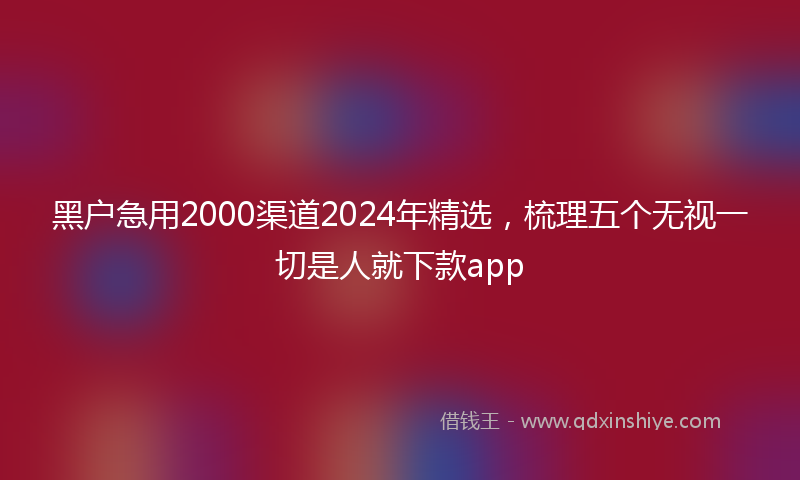 黑户急用2000渠道2024年精选，梳理五个无视一切是人就下款app