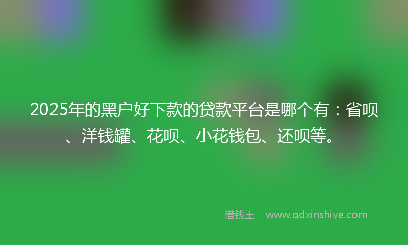2025年的黑户好下款的贷款平台是哪个有：省呗、洋钱罐、花呗、小花钱包、还呗等。