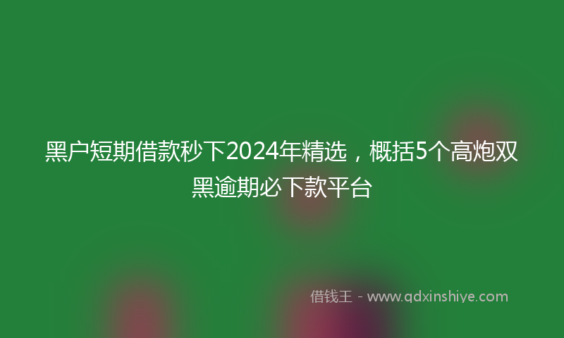 黑户短期借款秒下2024年精选，概括5个高炮双黑逾期必下款平台