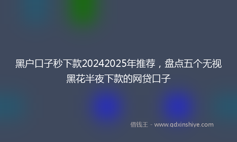 黑户口子秒下款20242025年推荐，盘点五个无视黑花半夜下款的网贷口子