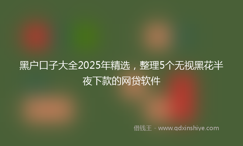 黑户口子大全2025年精选，整理5个无视黑花半夜下款的网贷软件