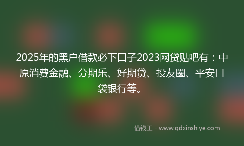 2025年的黑户借款必下口子2023网贷贴吧有：中原消费金融、分期乐、好期贷、投友圈、平安口袋银行等。