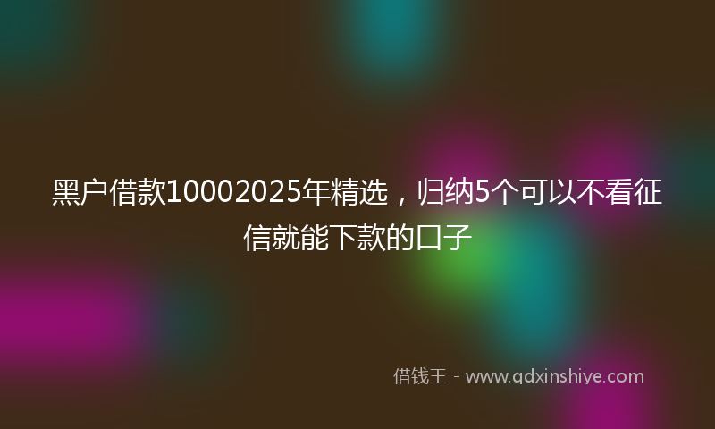 黑户借款10002025年精选，归纳5个可以不看征信就能下款的口子