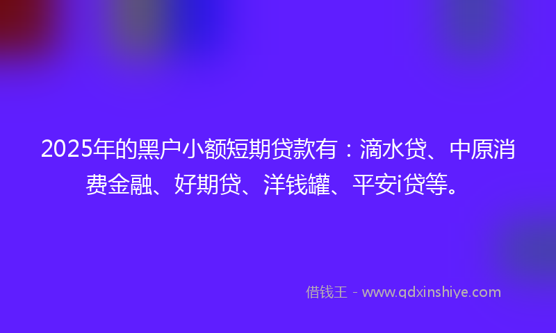 2025年的黑户小额短期贷款有：滴水贷、中原消费金融、好期贷、洋钱罐、平安i贷等。