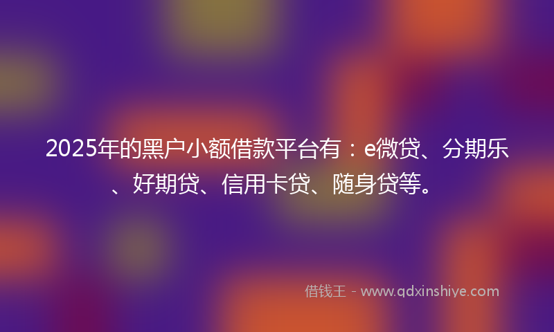 2025年的黑户小额借款平台有：e微贷、分期乐、好期贷、信用卡贷、随身贷等。