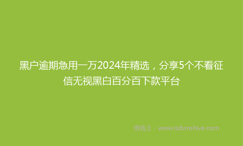 黑户逾期急用一万2024年精选，分享5个不看征信无视黑白百分百下款平台