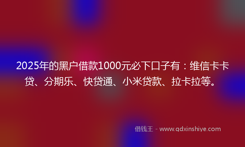 2025年的黑户借款1000元必下口子有：维信卡卡贷、分期乐、快贷通、小米贷款、拉卡拉等。