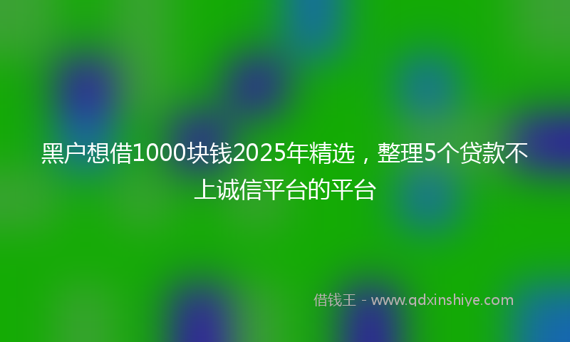 黑户想借1000块钱2025年精选，整理5个贷款不上诚信平台的平台