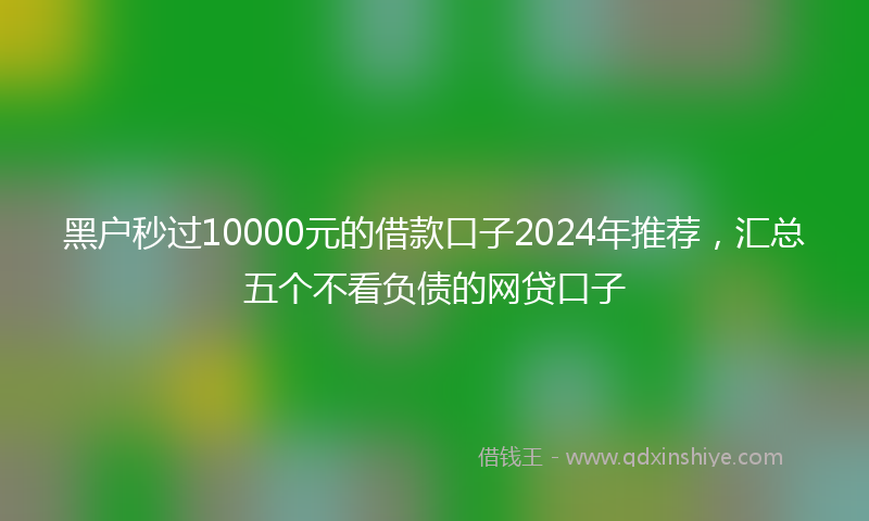 黑户秒过10000元的借款口子2024年推荐，汇总五个不看负债的网贷口子