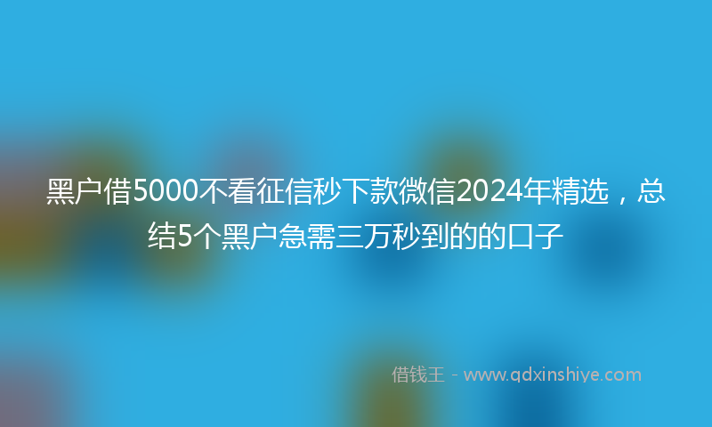 黑户借5000不看征信秒下款微信2024年精选，总结5个黑户急需三万秒到的的口子
