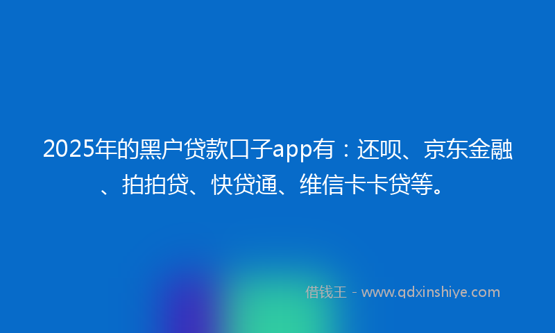 2025年的黑户贷款口子app有：还呗、京东金融、拍拍贷、快贷通、维信卡卡贷等。