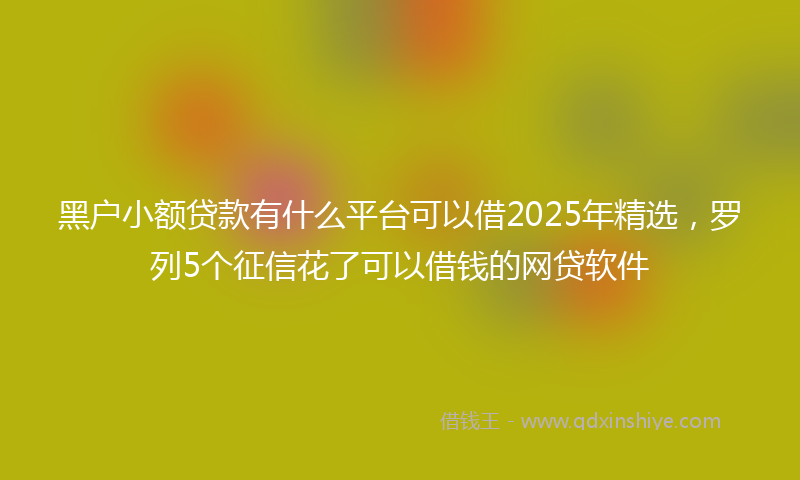 黑户小额贷款有什么平台可以借2025年精选，罗列5个征信花了可以借钱的网贷软件