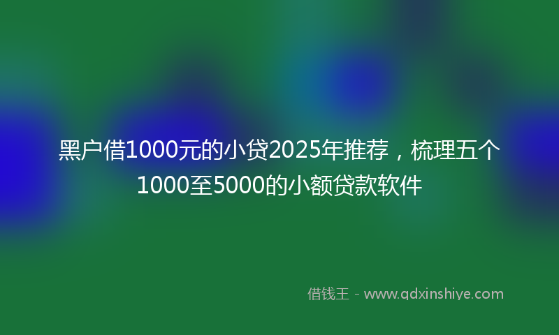 黑户借1000元的小贷2025年推荐，梳理五个1000至5000的小额贷款软件