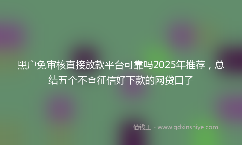 黑户免审核直接放款平台可靠吗2025年推荐，总结五个不查征信好下款的网贷口子