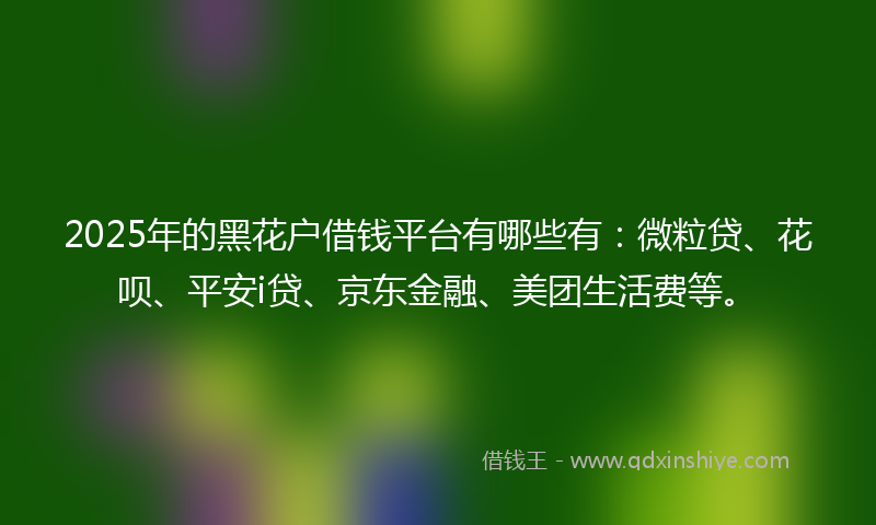 2025年的黑花户借钱平台有哪些有：微粒贷、花呗、平安i贷、京东金融、美团生活费等。
