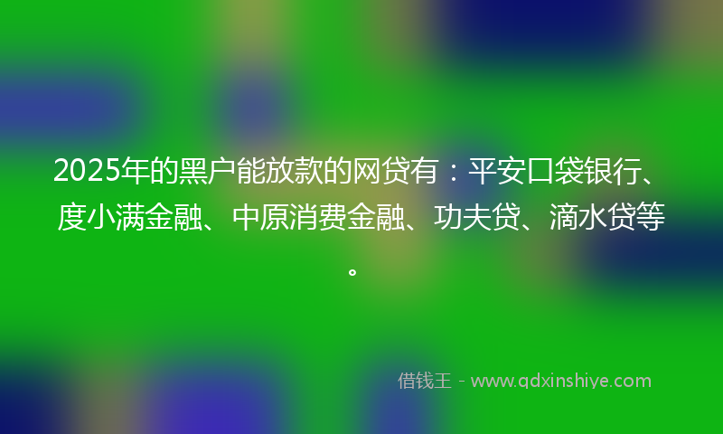 2025年的黑户能放款的网贷有：平安口袋银行、度小满金融、中原消费金融、功夫贷、滴水贷等。