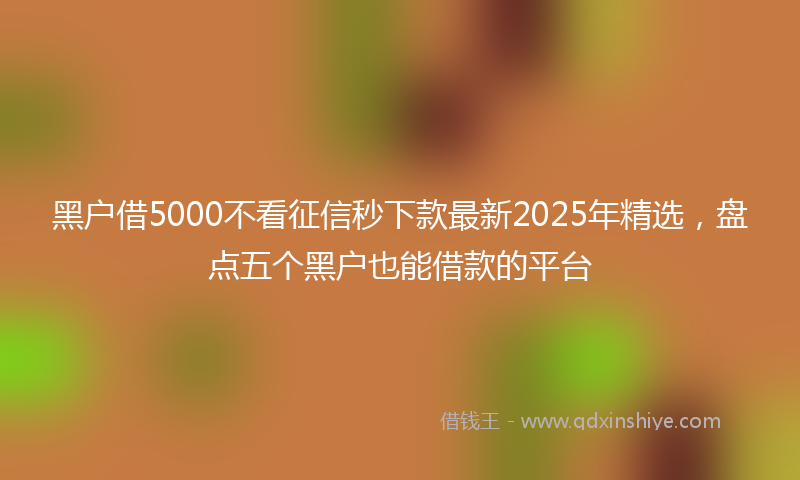 黑户借5000不看征信秒下款最新2025年精选，盘点五个黑户也能借款的平台