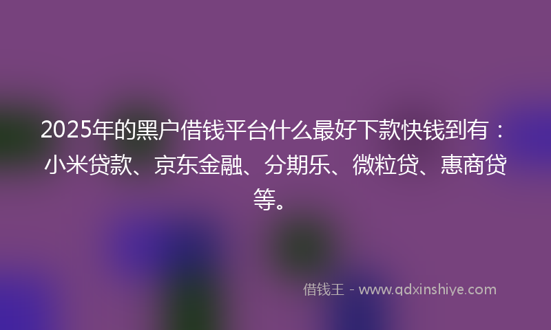 2025年的黑户借钱平台什么最好下款快钱到有：小米贷款、京东金融、分期乐、微粒贷、惠商贷等。